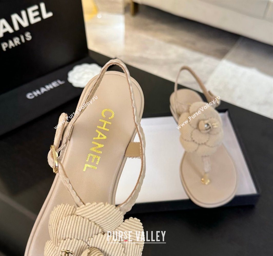 Chanel Suede Flat Thong Sandals with Camellia Bloom Beige 2025 G45928 (MD-250303080)