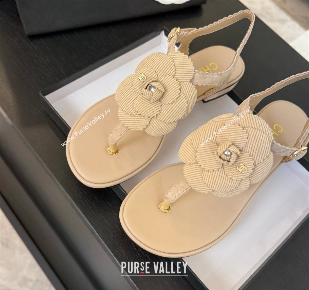 Chanel Suede Flat Thong Sandals with Camellia Bloom Beige 2025 G45928 (MD-250303080)