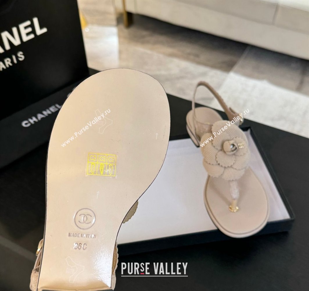 Chanel Suede Flat Thong Sandals with Camellia Bloom Beige 2025 G45928 (MD-250303080)