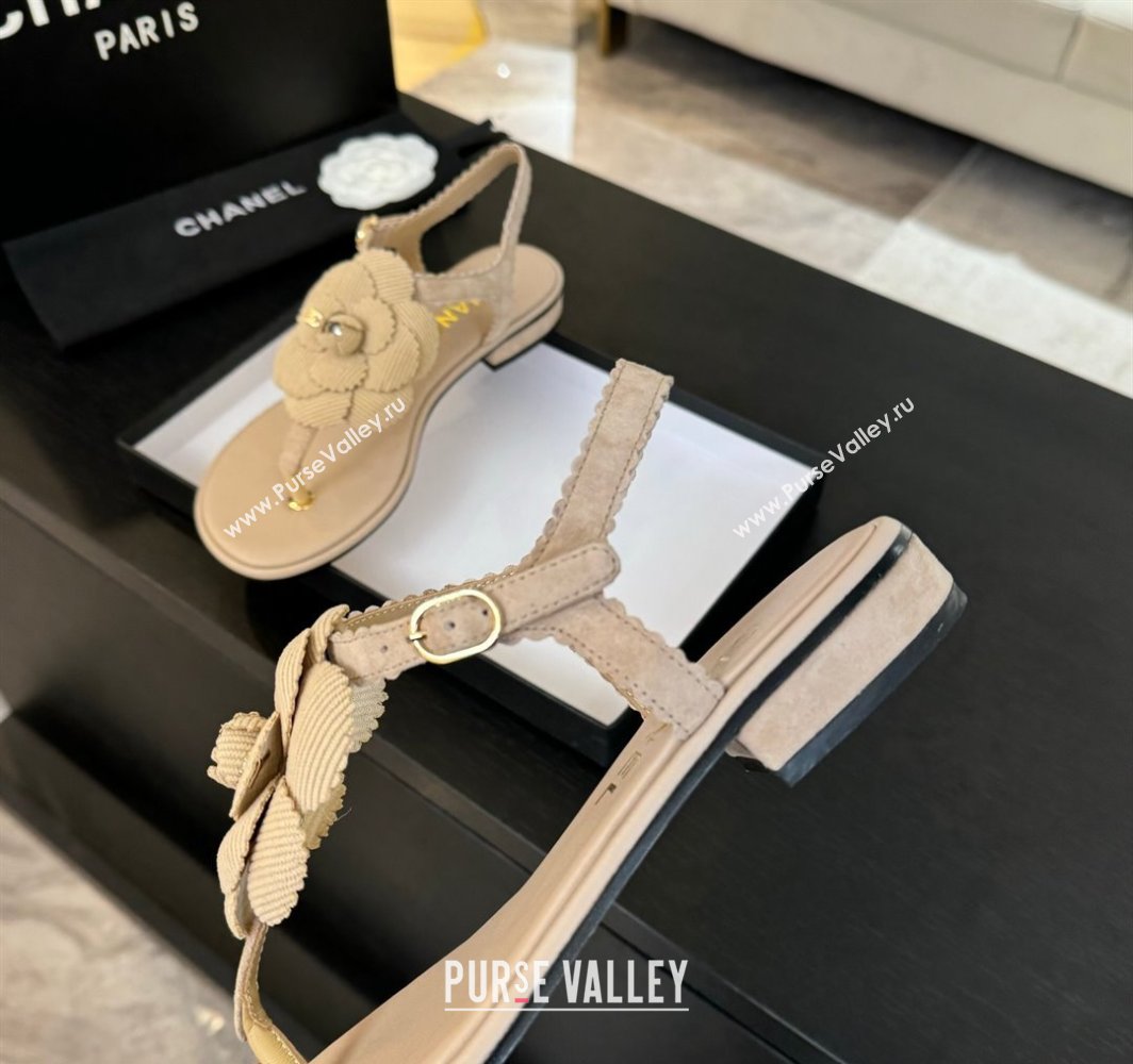 Chanel Suede Flat Thong Sandals with Camellia Bloom Beige 2025 G45928 (MD-250303080)