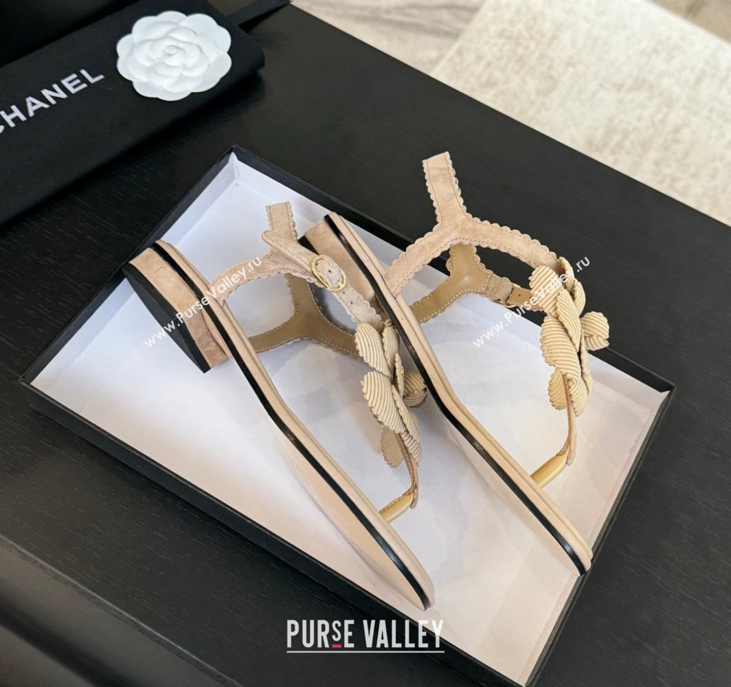 Chanel Suede Flat Thong Sandals with Camellia Bloom Beige 2025 G45928 (MD-250303080)