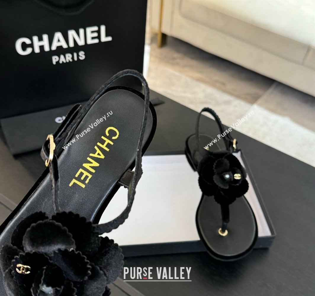 Chanel Velvet Flat Thong Sandals with Camellia Bloom Black 2025 G45928 (MD-250303083)