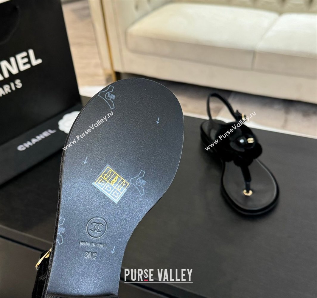 Chanel Velvet Flat Thong Sandals with Camellia Bloom Black 2025 G45928 (MD-250303083)