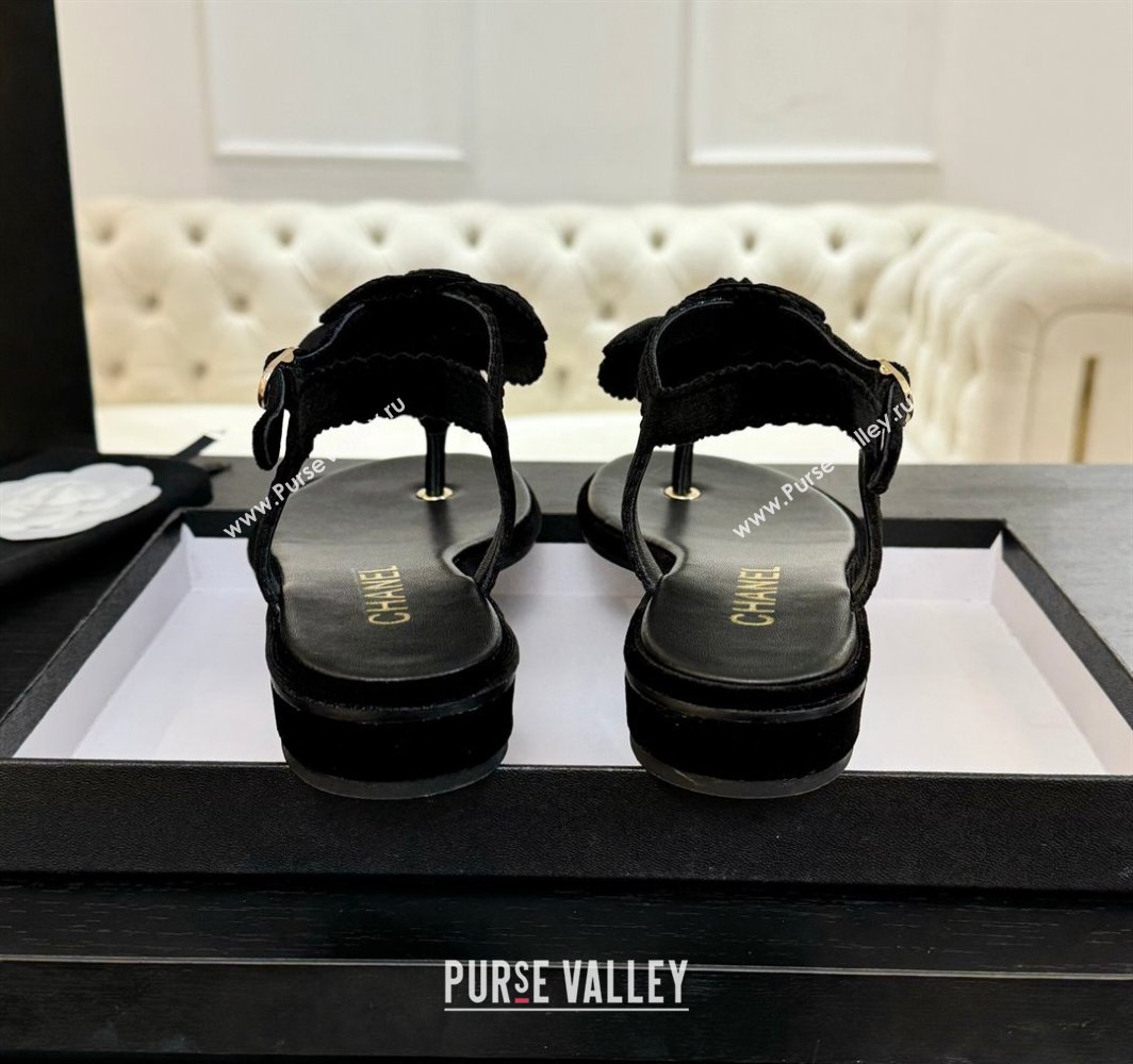 Chanel Velvet Flat Thong Sandals with Camellia Bloom Black 2025 G45928 (MD-250303083)