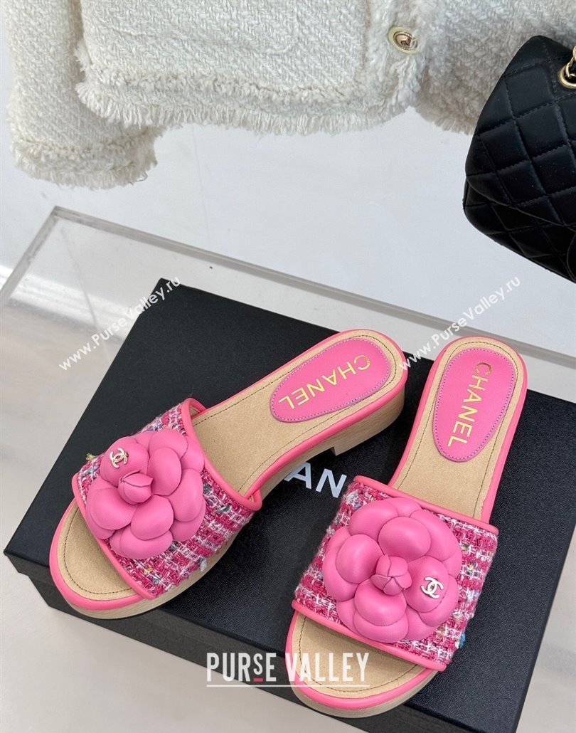 Chanel Calfskin Wood-Like Platform Slides Sandal 4cm with Camellia Bloom Dark Pink 2025 CH030305 (MD-250303052)