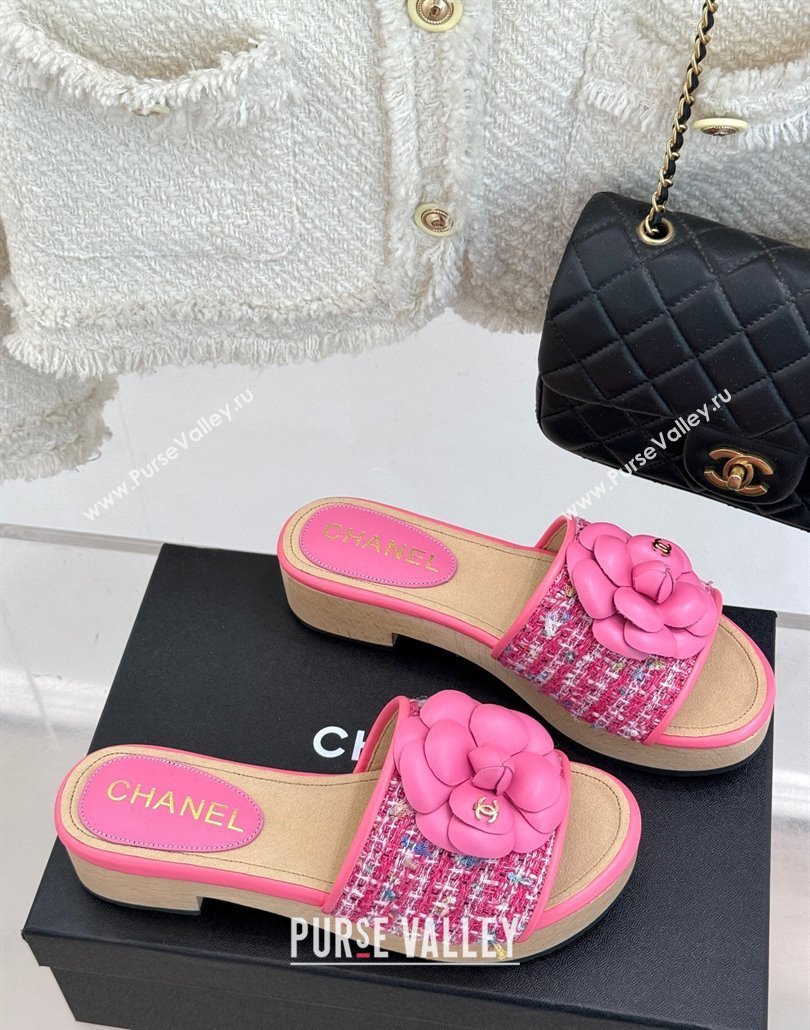 Chanel Calfskin Wood-Like Platform Slides Sandal 4cm with Camellia Bloom Dark Pink 2025 CH030305 (MD-250303052)