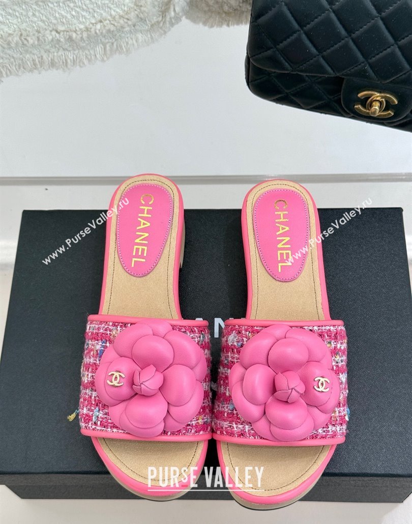 Chanel Calfskin Wood-Like Platform Slides Sandal 4cm with Camellia Bloom Dark Pink 2025 CH030305 (MD-250303052)