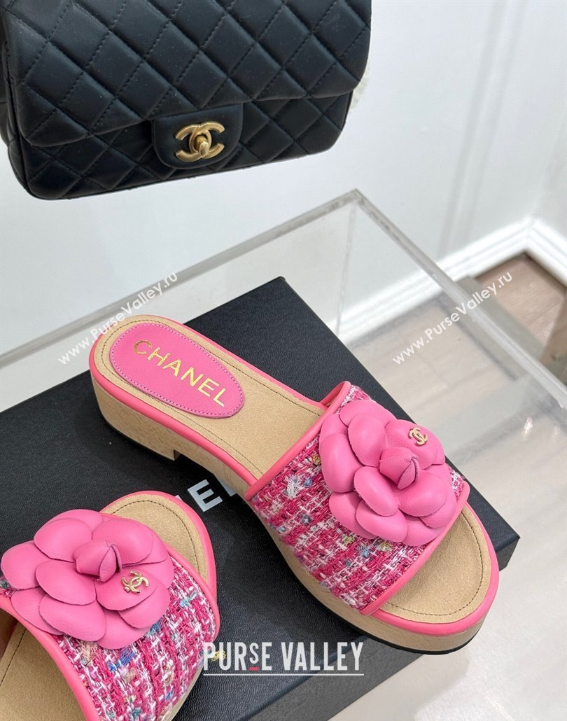 Chanel Calfskin Wood-Like Platform Slides Sandal 4cm with Camellia Bloom Dark Pink 2025 CH030305 (MD-250303052)