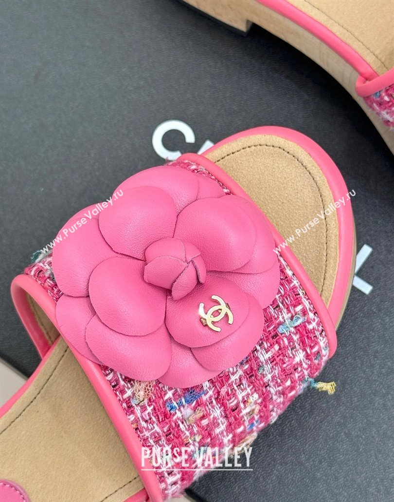 Chanel Calfskin Wood-Like Platform Slides Sandal 4cm with Camellia Bloom Dark Pink 2025 CH030305 (MD-250303052)