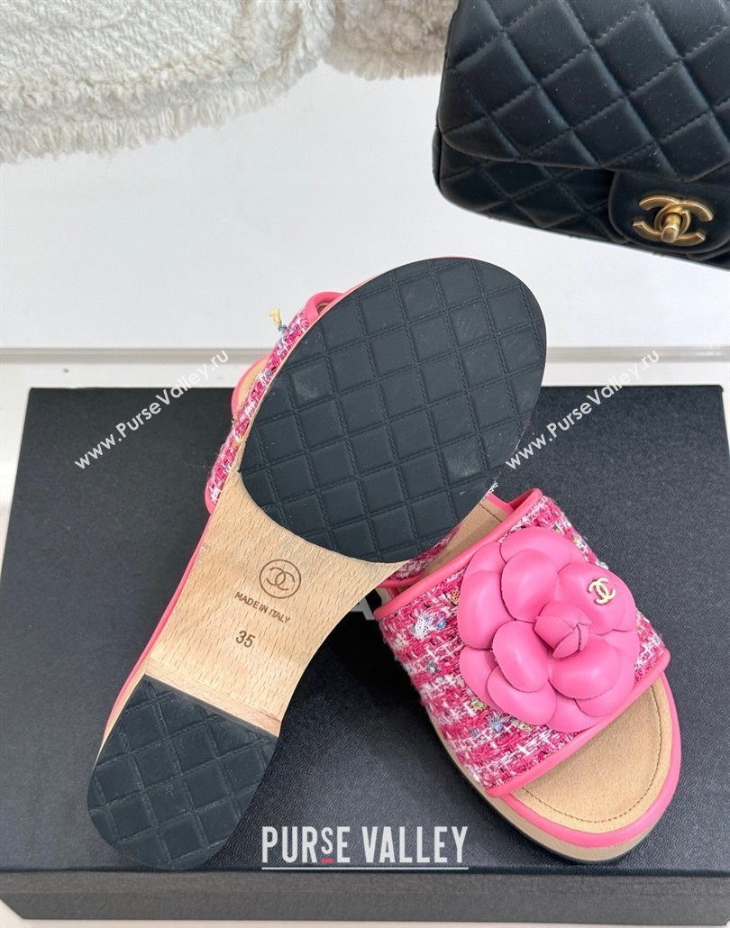 Chanel Calfskin Wood-Like Platform Slides Sandal 4cm with Camellia Bloom Dark Pink 2025 CH030305 (MD-250303052)