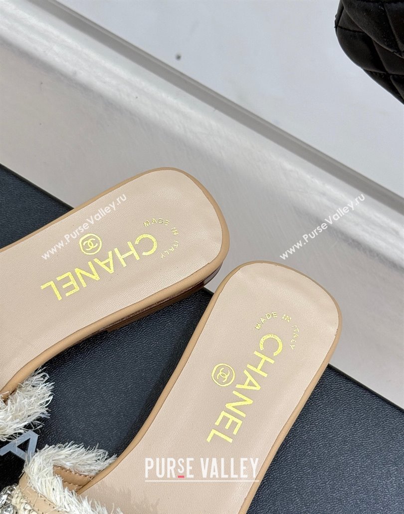 Chanel Straw-Like Slides Sandal with Strass Beige 2025 CH030109 (MD-250301057)
