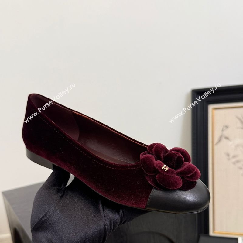 Chanel Velvet Ballet Flats with Camellia Bloom Charm Burgundy 2025 CH101716 (MD-250415146)