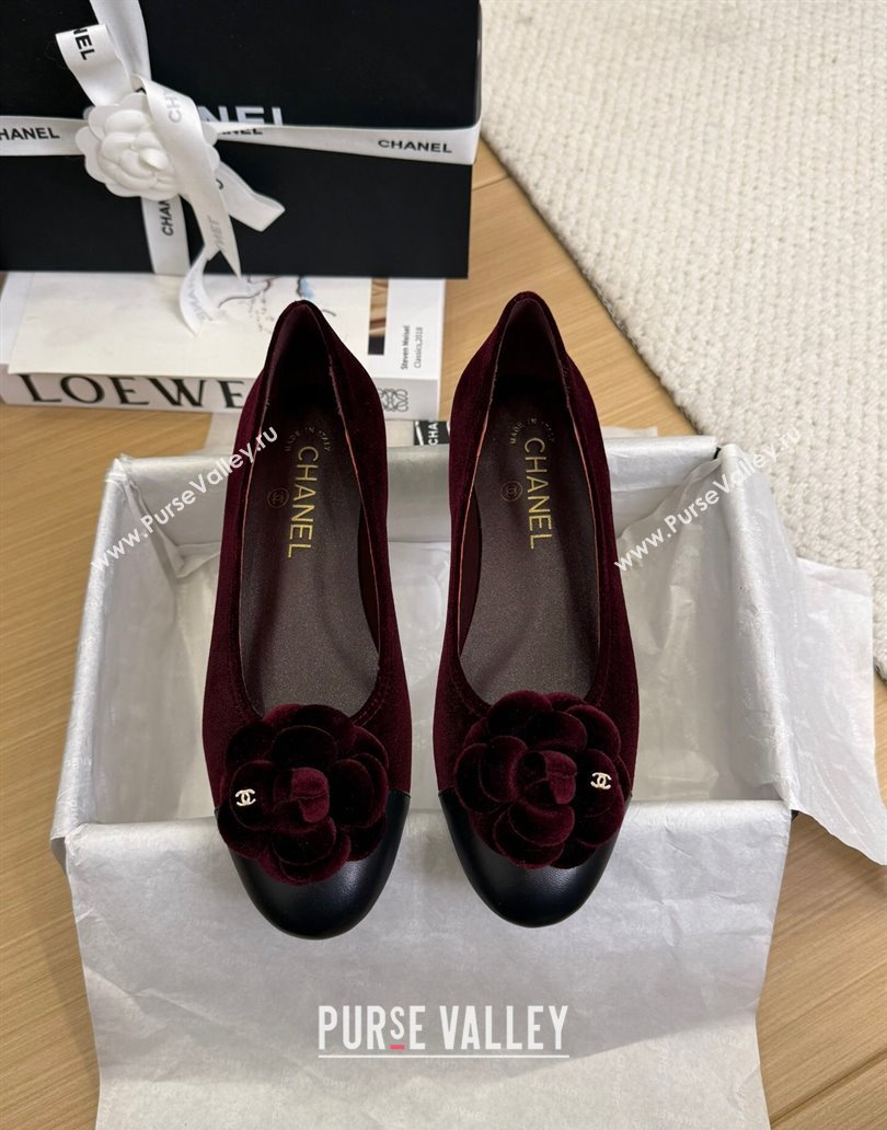 Chanel Velvet Ballet Flats with Camellia Bloom Charm Burgundy 2025 CH101716 (MD-250415146)