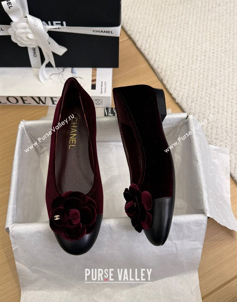 Chanel Velvet Ballet Flats with Camellia Bloom Charm Burgundy 2025 CH101716 (MD-250415146)
