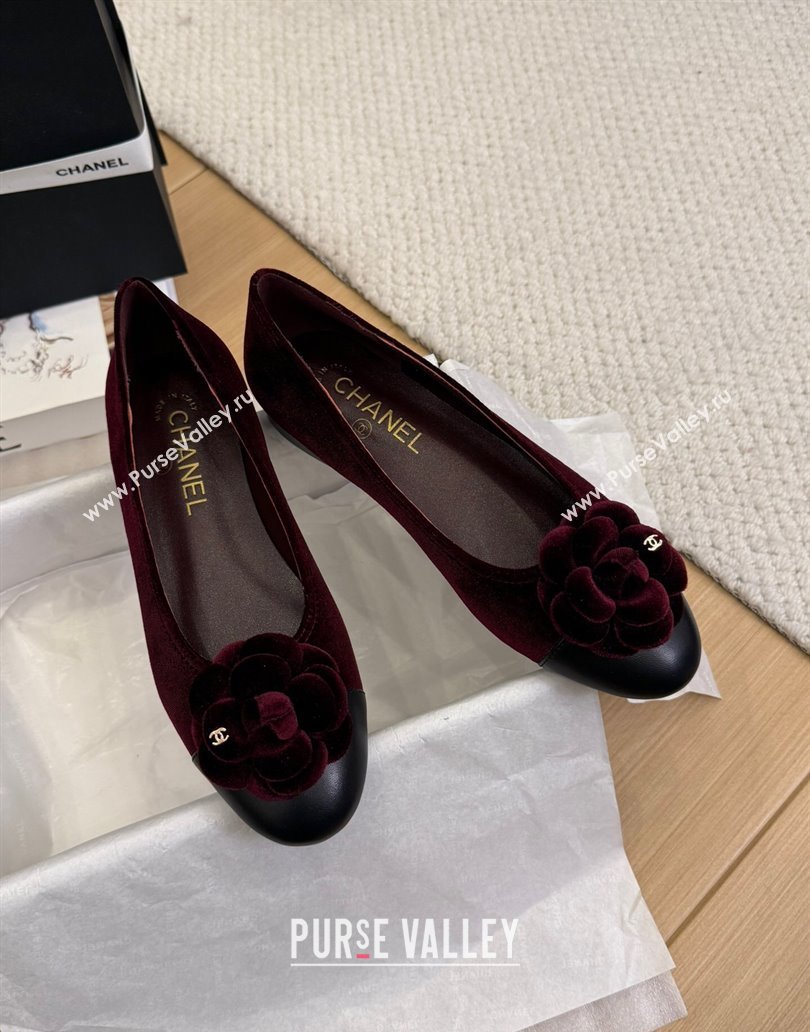 Chanel Velvet Ballet Flats with Camellia Bloom Charm Burgundy 2025 CH101716 (MD-250415146)