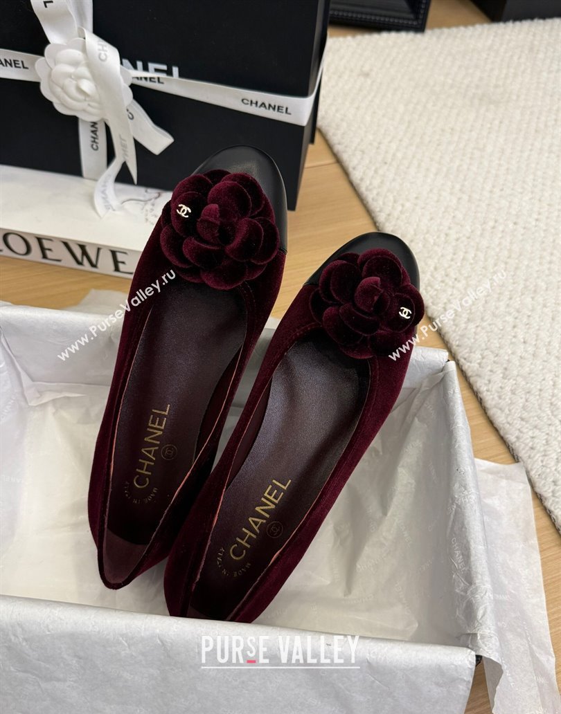 Chanel Velvet Ballet Flats with Camellia Bloom Charm Burgundy 2025 CH101716 (MD-250415146)
