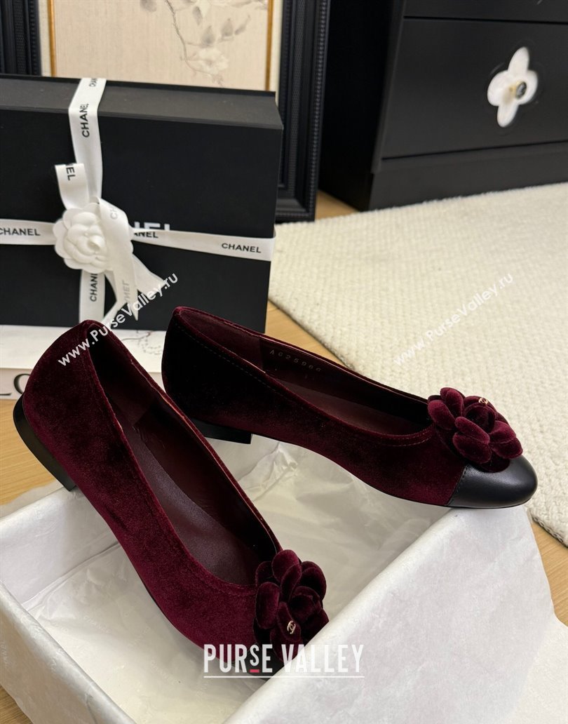 Chanel Velvet Ballet Flats with Camellia Bloom Charm Burgundy 2025 CH101716 (MD-250415146)