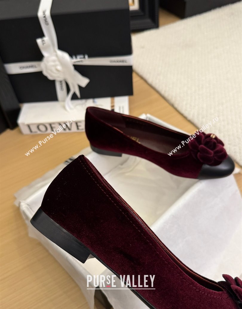 Chanel Velvet Ballet Flats with Camellia Bloom Charm Burgundy 2025 CH101716 (MD-250415146)