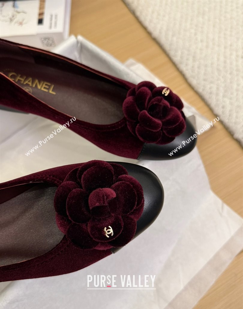 Chanel Velvet Ballet Flats with Camellia Bloom Charm Burgundy 2025 CH101716 (MD-250415146)