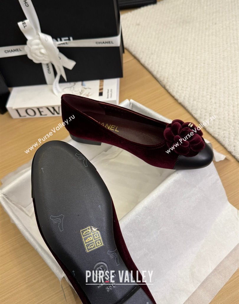 Chanel Velvet Ballet Flats with Camellia Bloom Charm Burgundy 2025 CH101716 (MD-250415146)