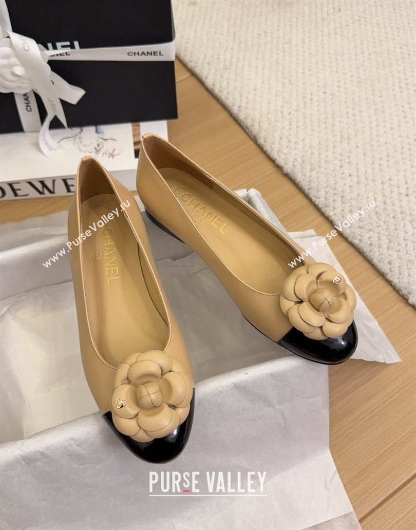 Chanel Lambskin Patent Calfskin Ballet Flats with Camellia Bloom Charm Apricot 2025 CH101716 (MD-250415150)