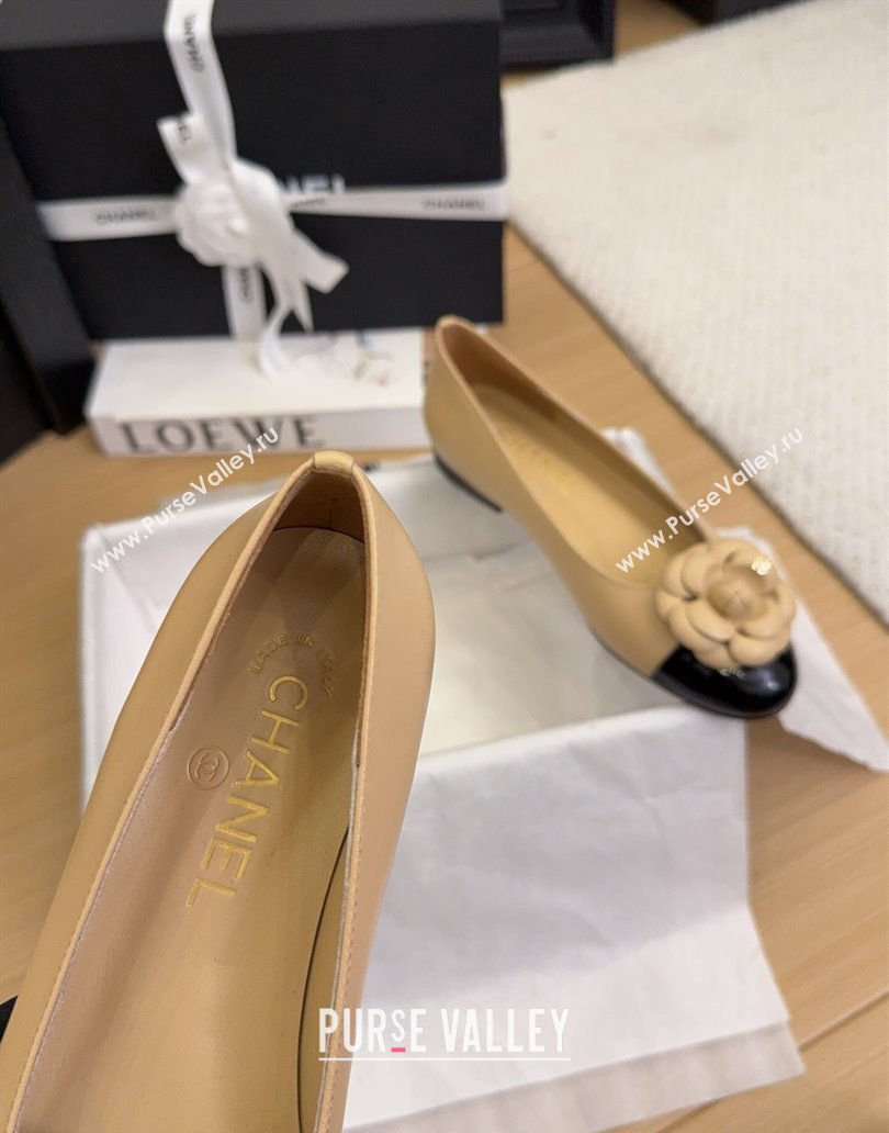 Chanel Lambskin Patent Calfskin Ballet Flats with Camellia Bloom Charm Apricot 2025 CH101716 (MD-250415150)