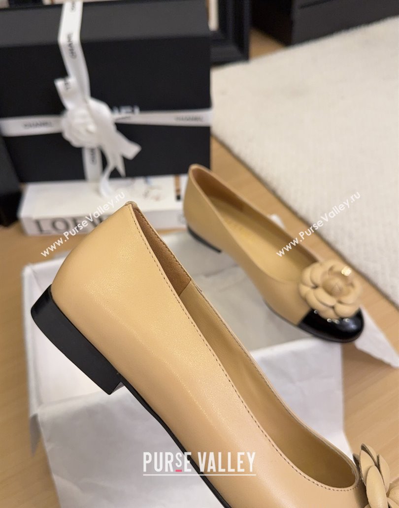 Chanel Lambskin Patent Calfskin Ballet Flats with Camellia Bloom Charm Apricot 2025 CH101716 (MD-250415150)