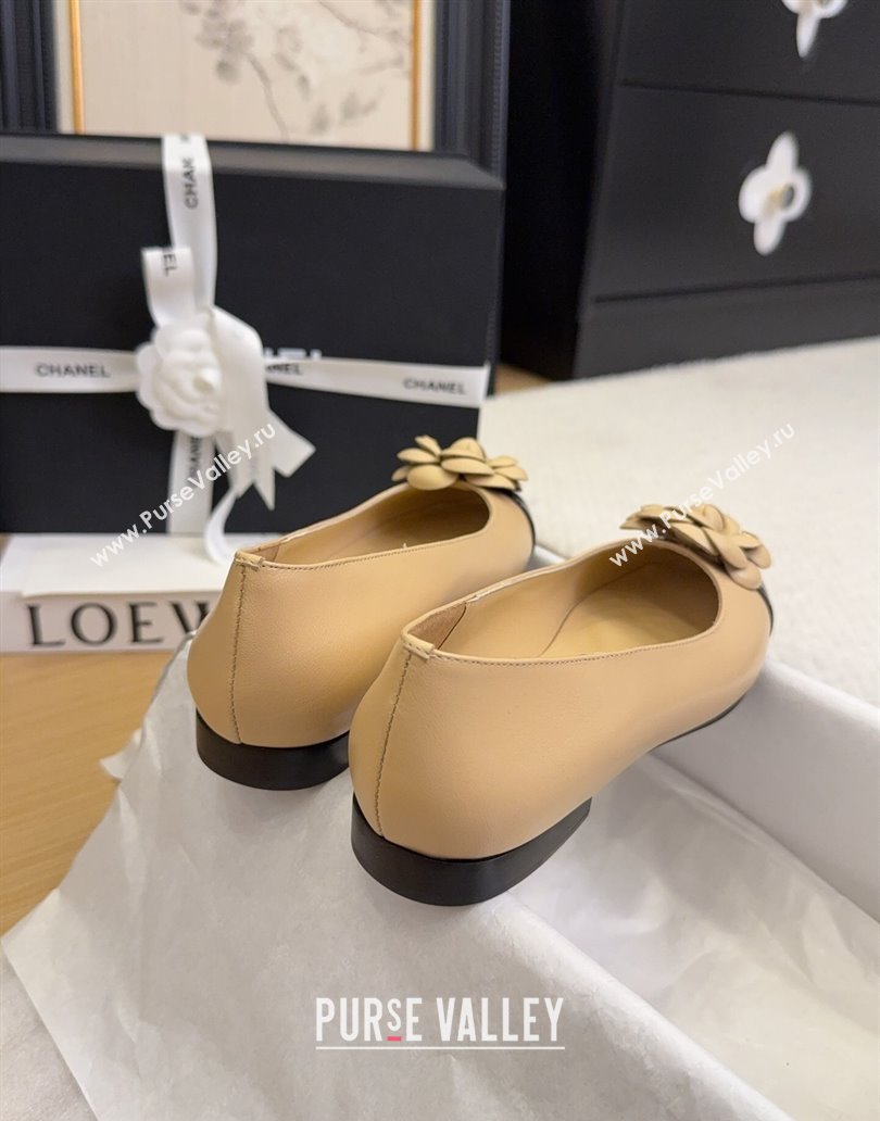 Chanel Lambskin Patent Calfskin Ballet Flats with Camellia Bloom Charm Apricot 2025 CH101716 (MD-250415150)