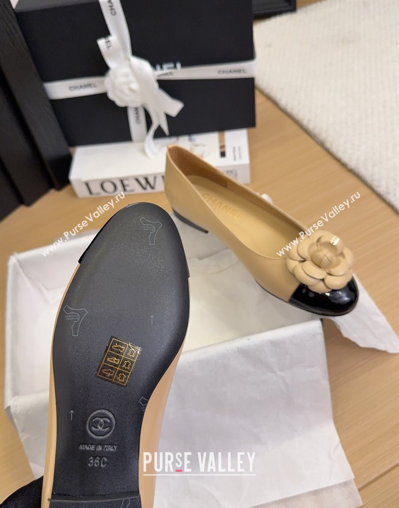 Chanel Lambskin Patent Calfskin Ballet Flats with Camellia Bloom Charm Apricot 2025 CH101716 (MD-250415150)