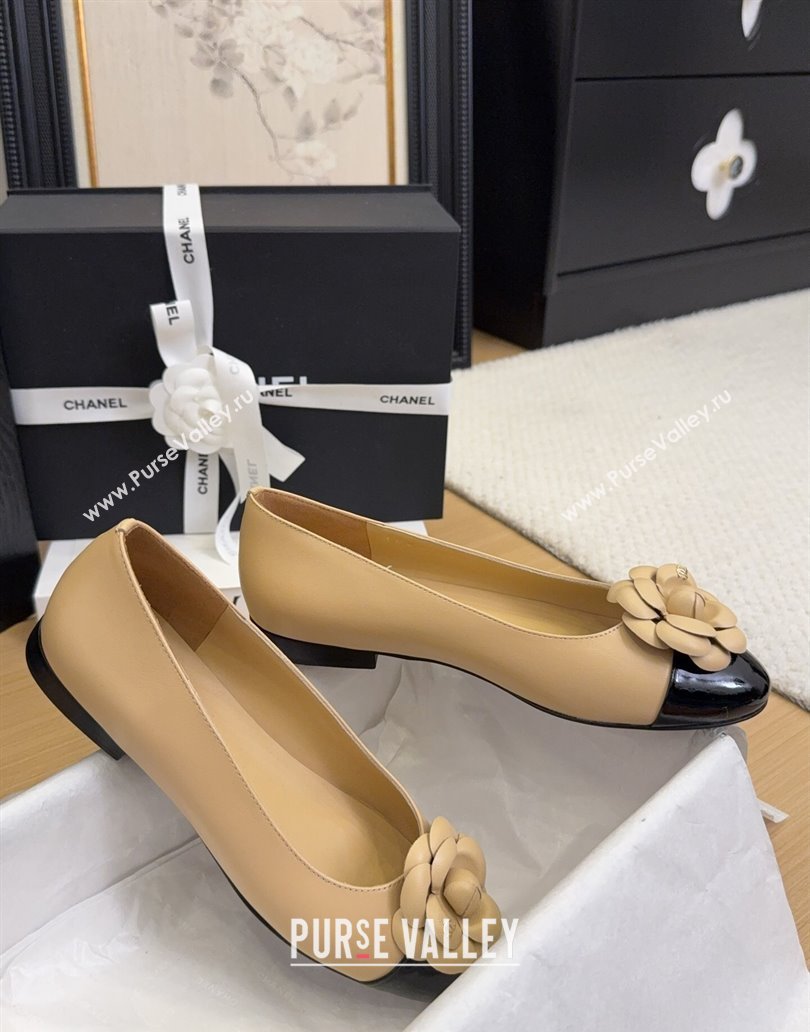 Chanel Lambskin Patent Calfskin Ballet Flats with Camellia Bloom Charm Apricot 2025 CH101716 (MD-250415150)