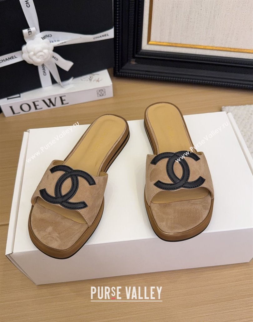 Chanel Suede Flat Slides Sandal with Maxi CC Brown 2025 CH041503 (MD-250415027)