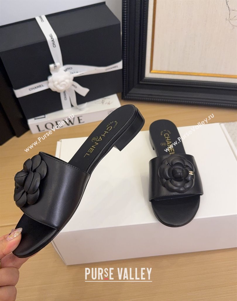 Chanel Lambskin Leather Flat Slides Sandal with Camellia Black 2025 CH041505 (MD-250415036)