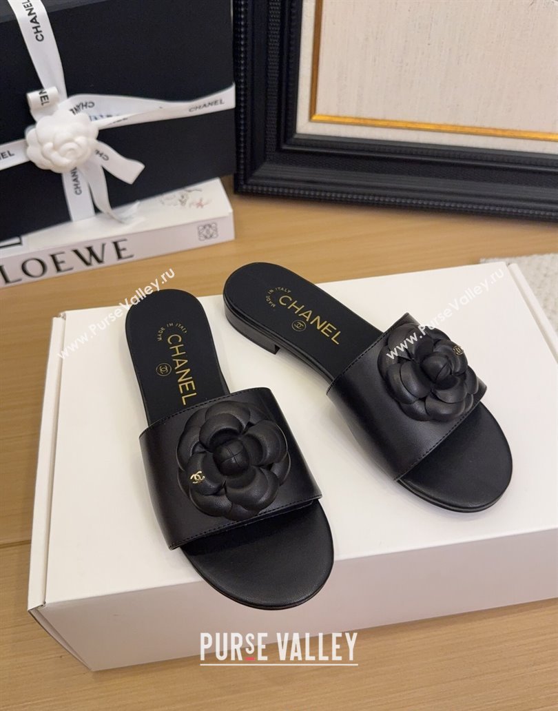 Chanel Lambskin Leather Flat Slides Sandal with Camellia Black 2025 CH041505 (MD-250415036)