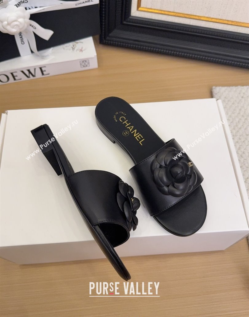 Chanel Lambskin Leather Flat Slides Sandal with Camellia Black 2025 CH041505 (MD-250415036)