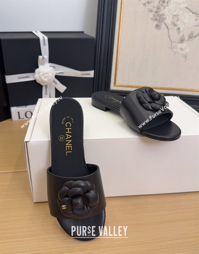 Chanel Lambskin Leather Flat Slides Sandal with Camellia Black 2025 CH041505 (MD-250415036)