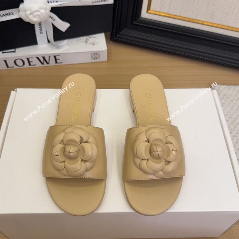 Chanel Lambskin Leather Flat Slides Sandal with Camellia Beige 2025 CH041505 (MD-250415037)