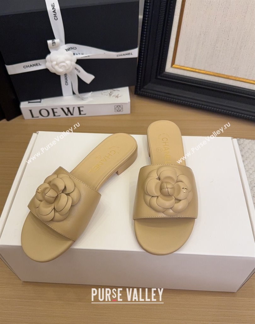 Chanel Lambskin Leather Flat Slides Sandal with Camellia Beige 2025 CH041505 (MD-250415037)
