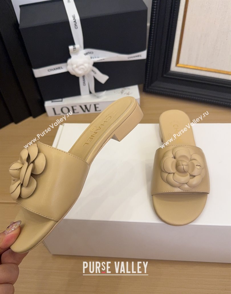 Chanel Lambskin Leather Flat Slides Sandal with Camellia Beige 2025 CH041505 (MD-250415037)