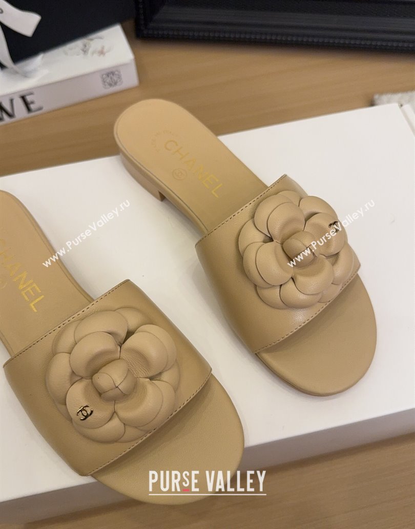 Chanel Lambskin Leather Flat Slides Sandal with Camellia Beige 2025 CH041505 (MD-250415037)