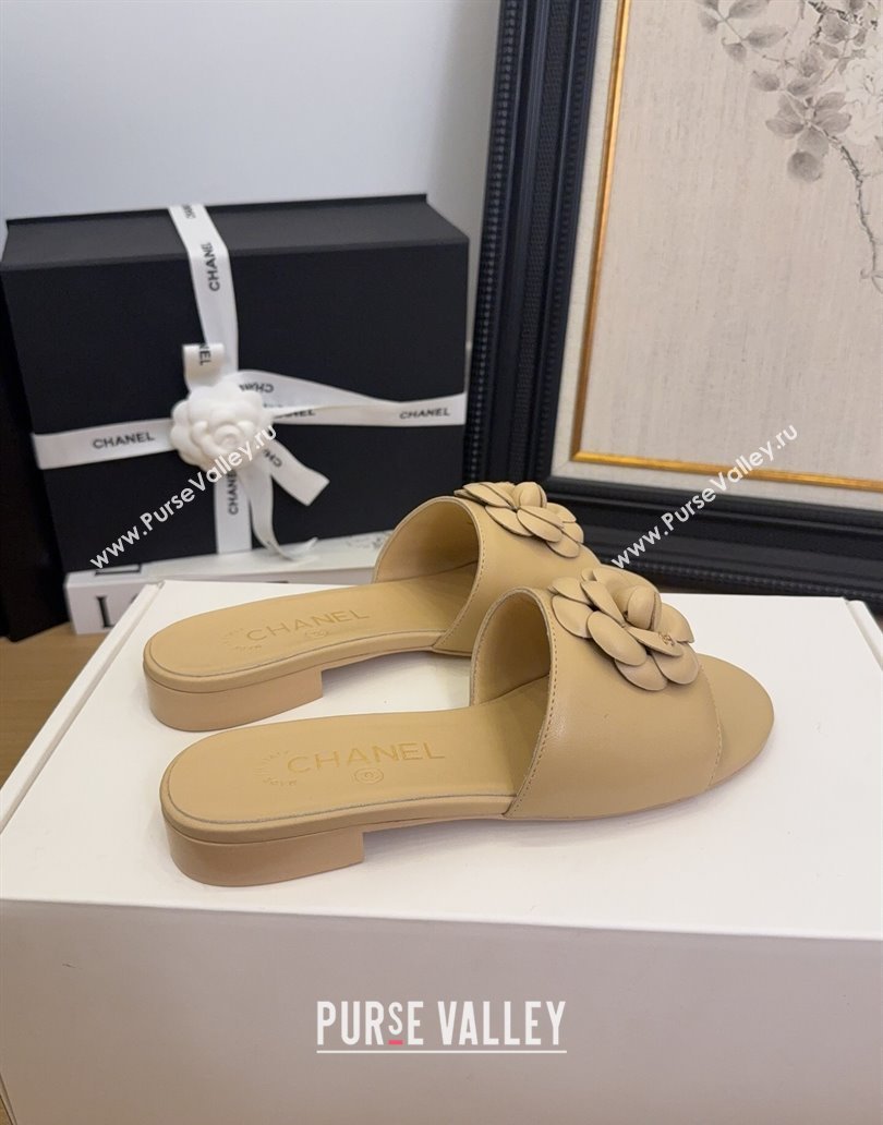 Chanel Lambskin Leather Flat Slides Sandal with Camellia Beige 2025 CH041505 (MD-250415037)