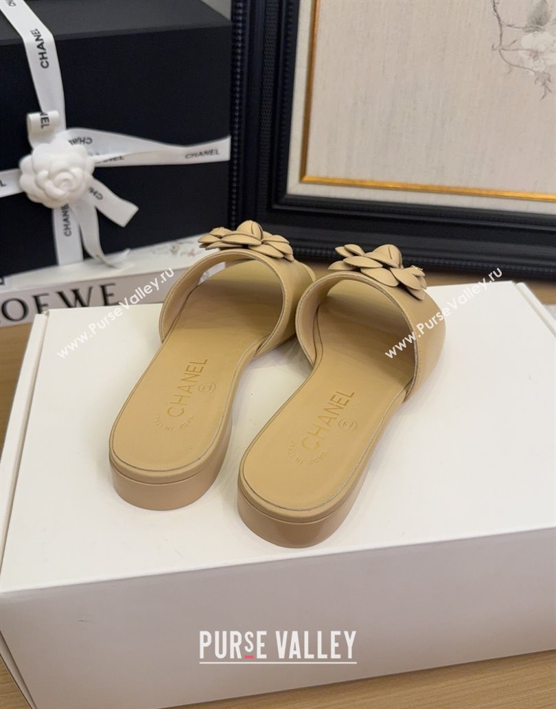 Chanel Lambskin Leather Flat Slides Sandal with Camellia Beige 2025 CH041505 (MD-250415037)