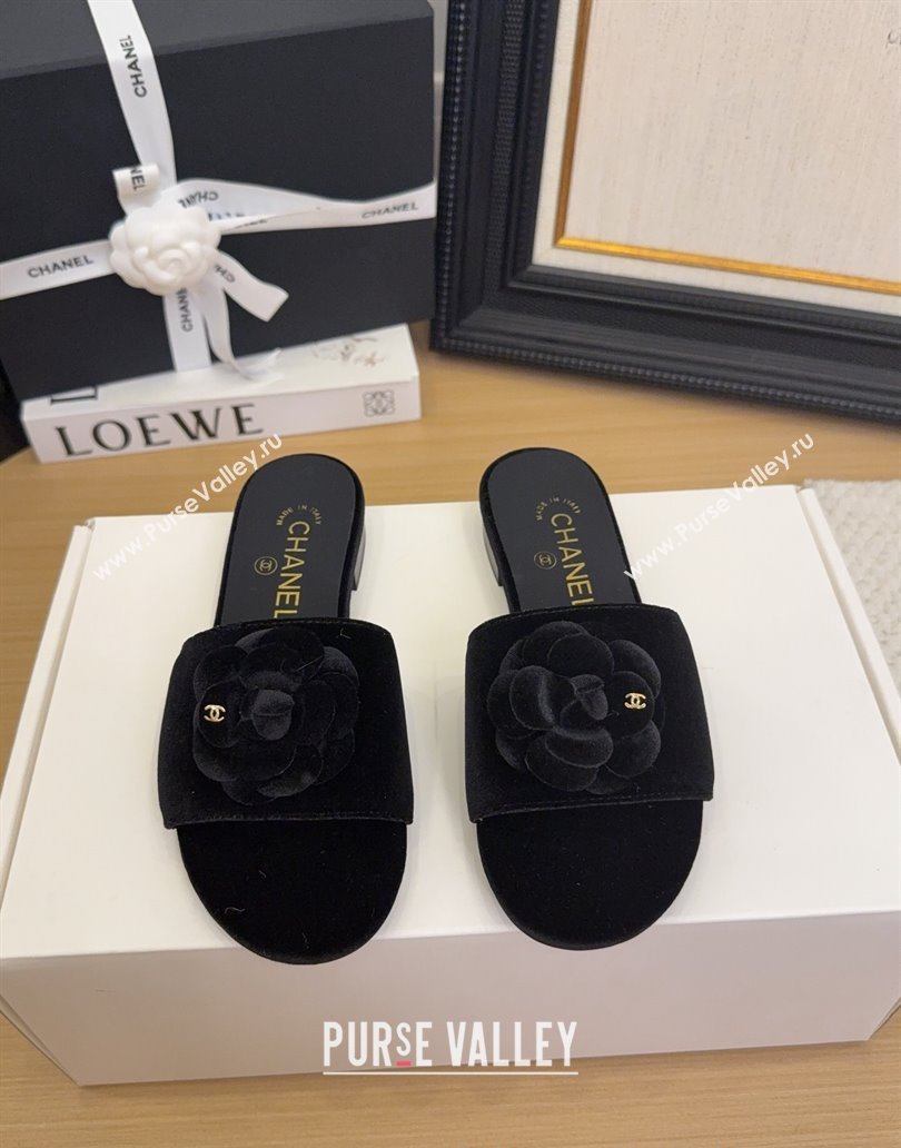 Chanel Velvet Flat Slides Sandal with Camellia Black 2025 CH041505 (MD-250415038)