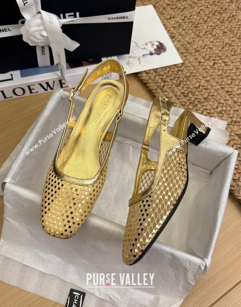 Chanel Fishnet Calfskin Heel Slingback Pumps Gold 2025 CH041510 (MD-250415138)