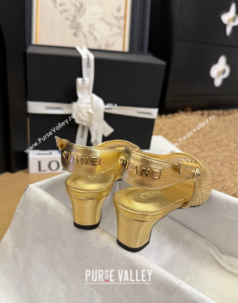 Chanel Fishnet Calfskin Heel Slingback Pumps Gold 2025 CH041510 (MD-250415138)