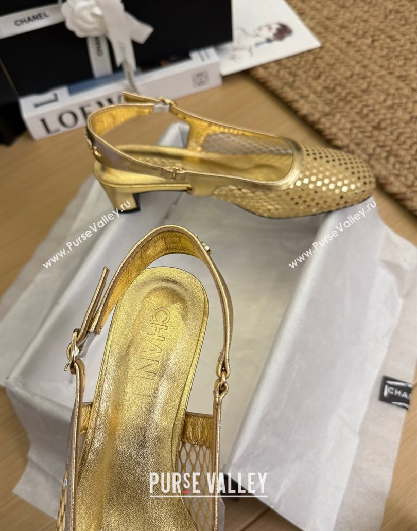 Chanel Fishnet Calfskin Heel Slingback Pumps Gold 2025 CH041510 (MD-250415138)