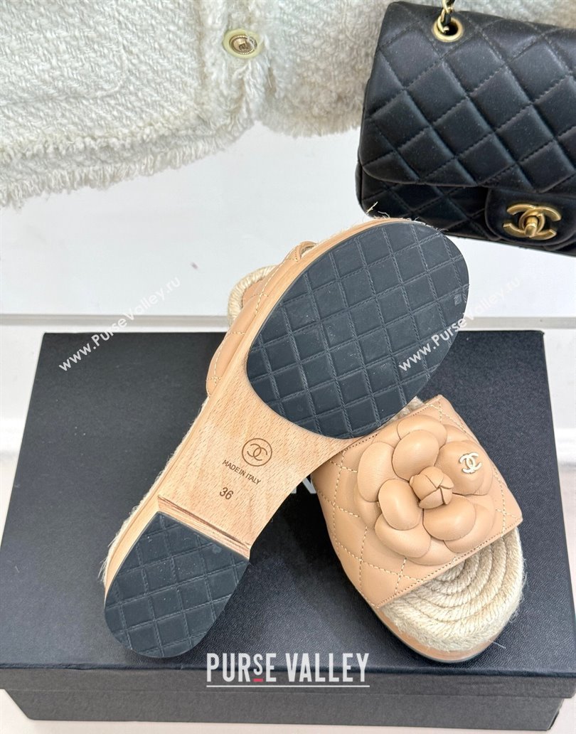 Chanel Calfskin Platform Slides Sandal 4cm with Camellia Beige 2025 CH041608 (MD-250416061)