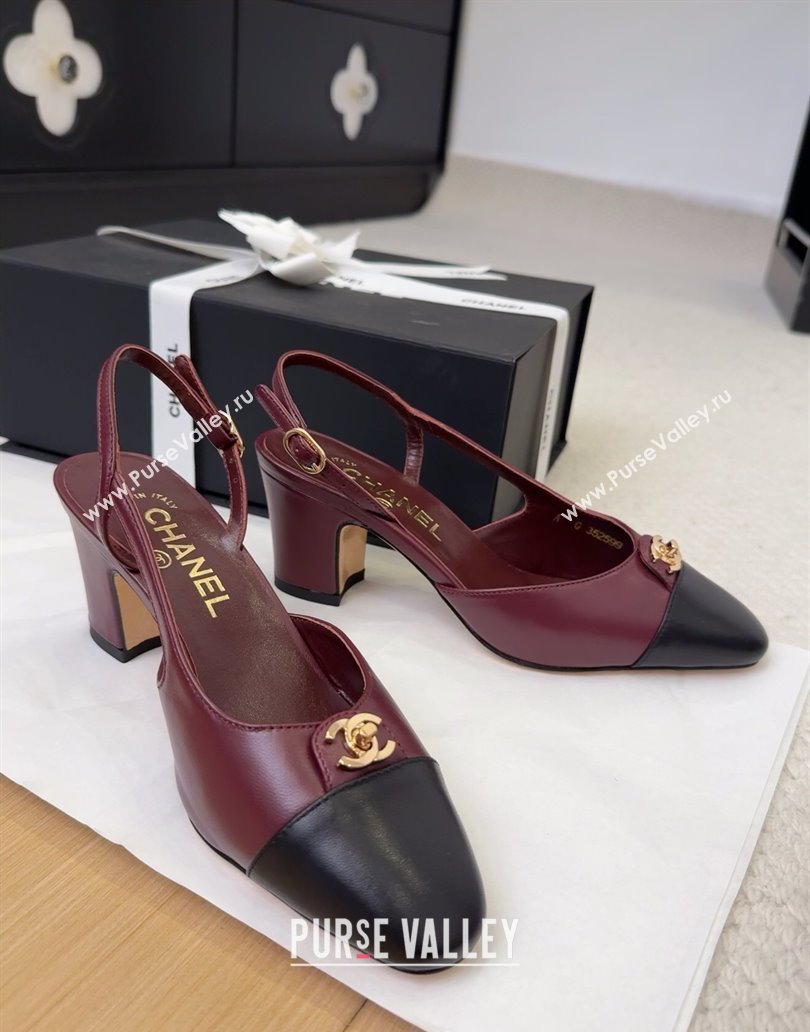 Chanel Lambskin Slingback Pumps 6.5cm with CC Stud Tag Dark Burgundy 2025 G46441 (MD-250415008)