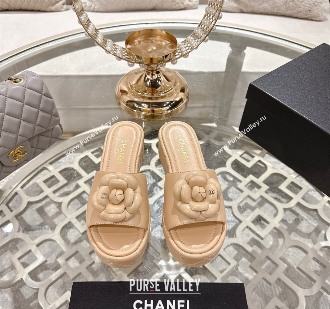 Chanel Lambskin Platform Wedge Slides Sandal 7cm with Camellia Beige 2025 CH041710 (MD-250417037)