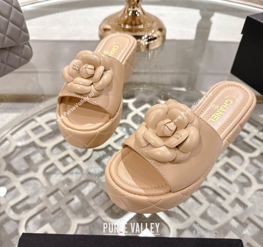 Chanel Lambskin Platform Wedge Slides Sandal 7cm with Camellia Beige 2025 CH041710 (MD-250417037)