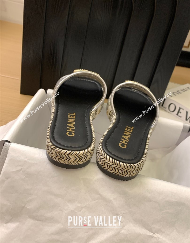Chanel Cutout Calfskin Flat Slides Sandal Silver 2025 CH041611 (MD-250416081)